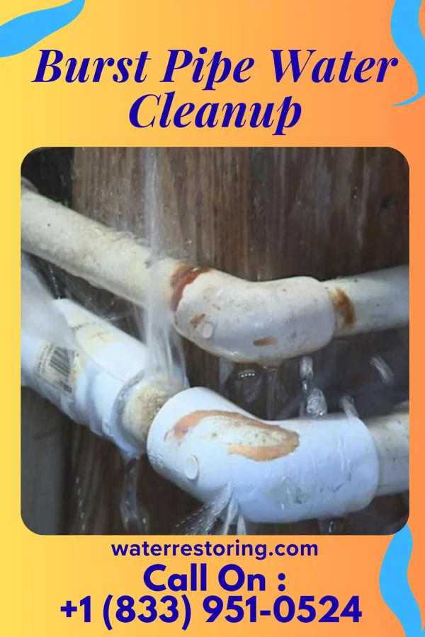 Burst Pipe Water Cleanup in Glouster, OH