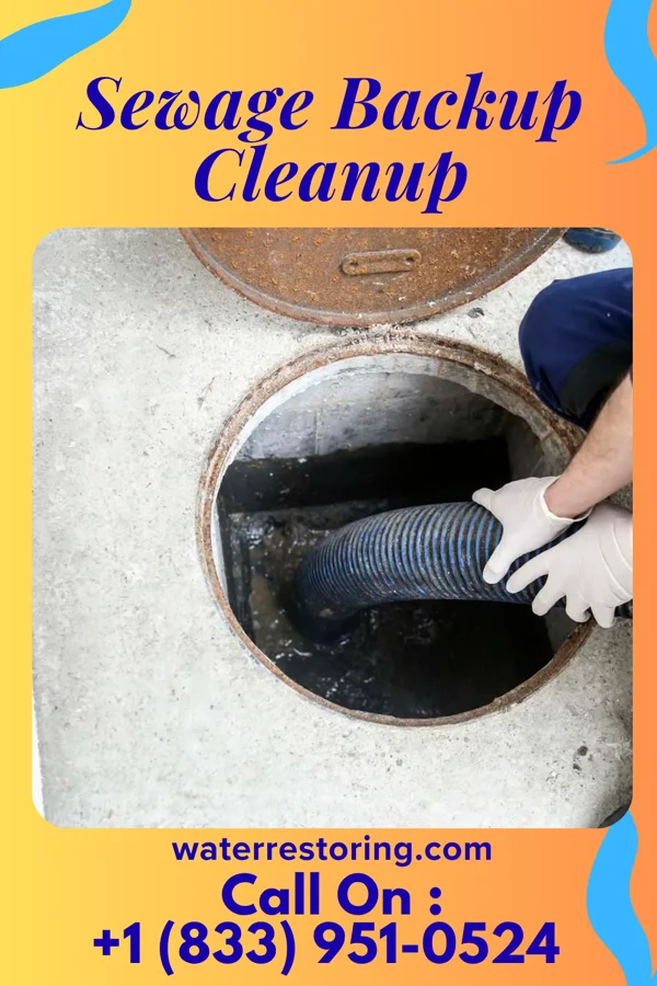 Sewage Backup Cleanup in Glouster, OH