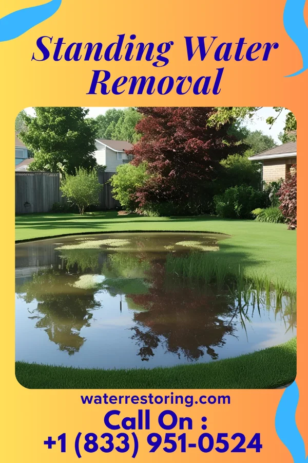 Standing Water Removal in Glouster, OH